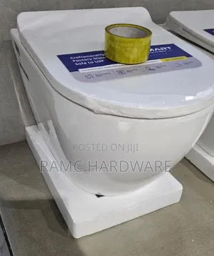 Back to Wall Toilet