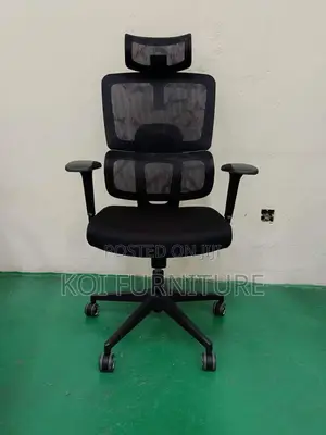 Office Chair : High-Back Orthopedic Office Chair
