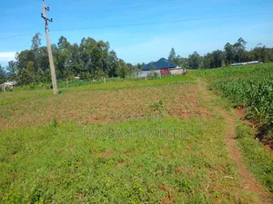 1/2acre Nyapora Mumias