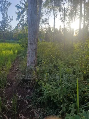4plots on Sale Mumias