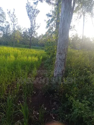 4plots on Sale Mumias