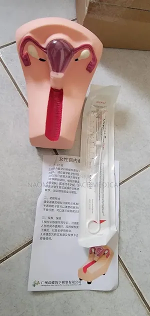 Female Reproductive Training Model(Intrauterine and Contraceptive)