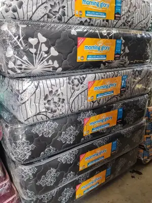 Morning Glory Foam, Quilted 10 Inch Thick, 4×6- Mattress
