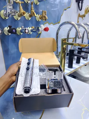 Silver Bidet