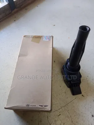 Ignition Coil Right Side Hyundai Palisade 2020 (Genuine)