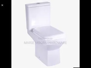 Toilet Blossom Box Shape