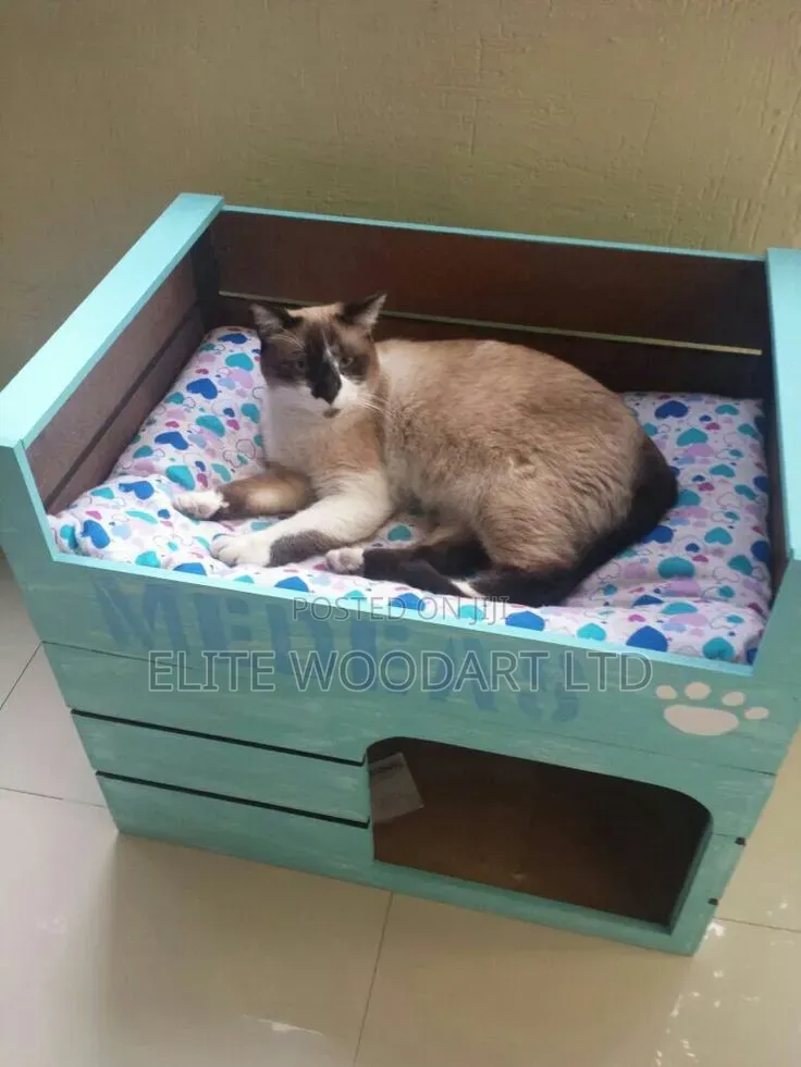 Cozy Claws Corner