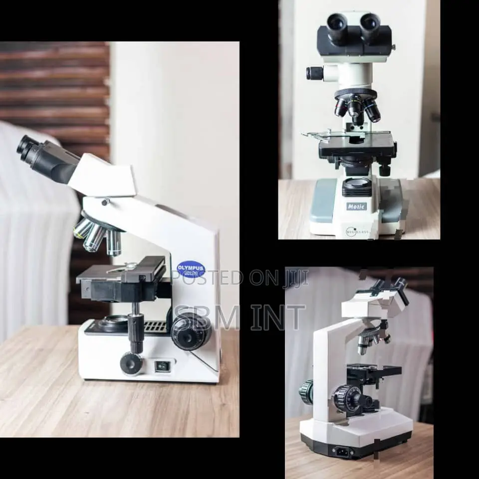 Microscope Olympus