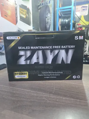 Din80 Zayn Car Battery