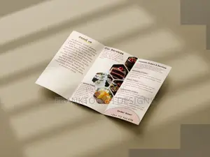 Trifold Dl Leaflet Brochure