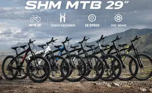 Size 20 Adult Sports Bike