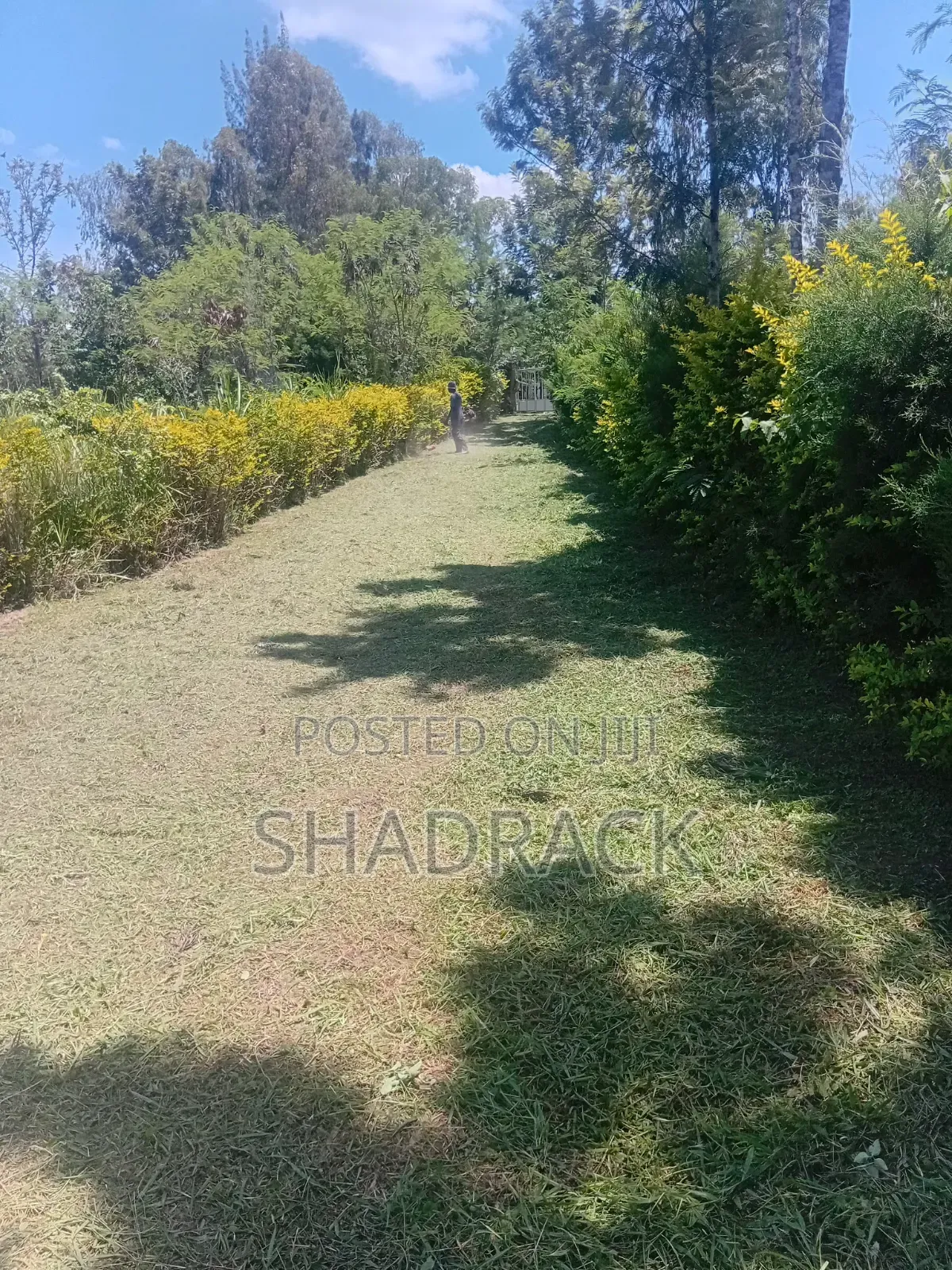 Home Compound Services