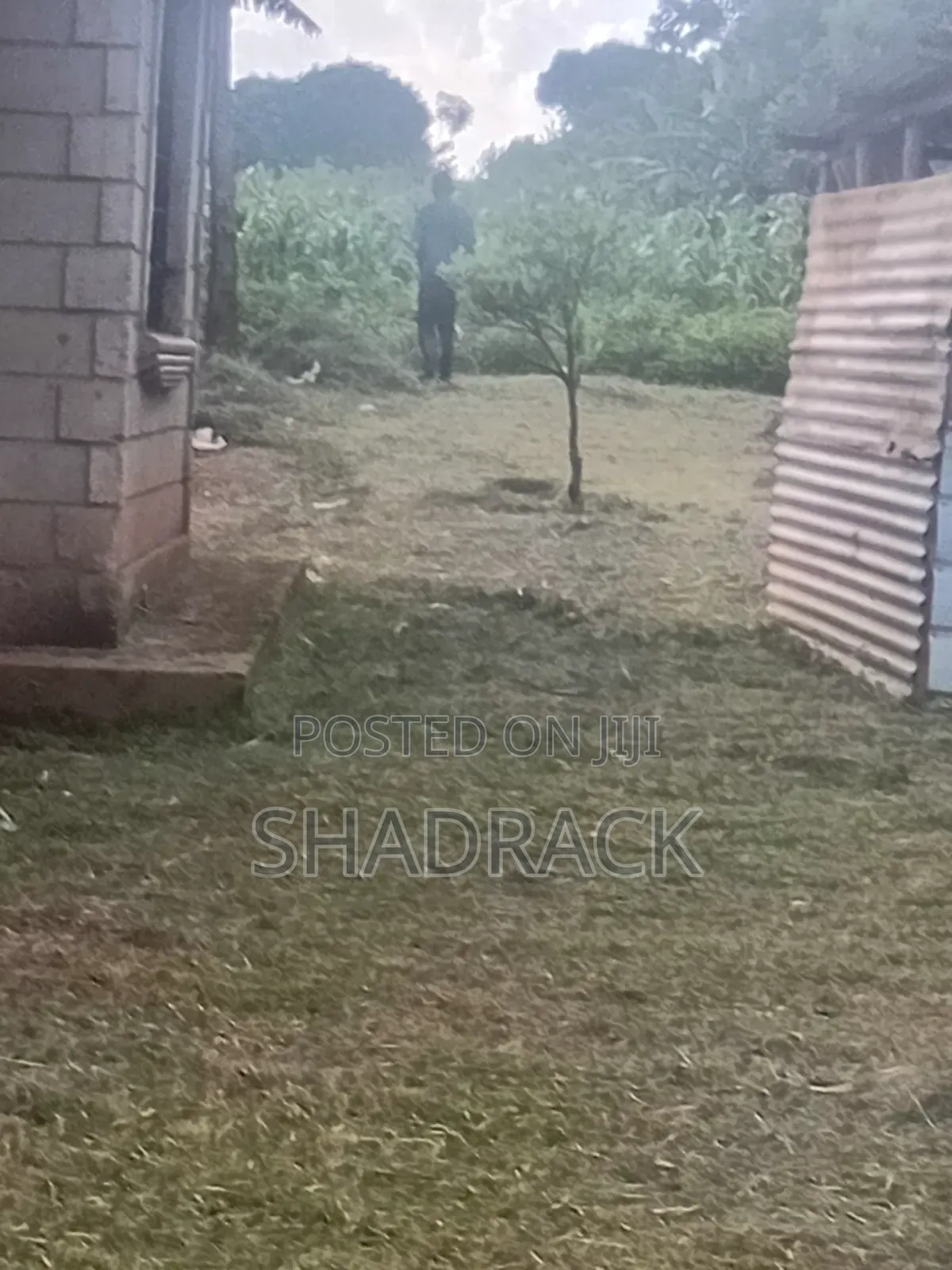 Home Compound Services