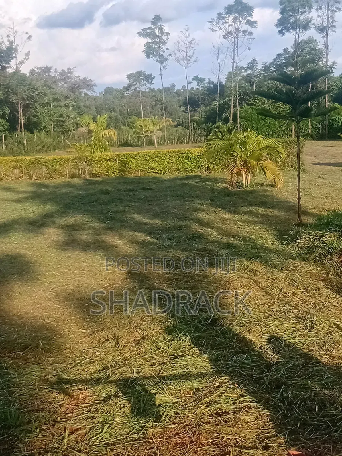 Home Compound Services