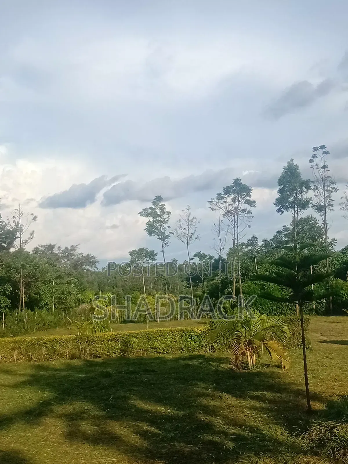 Home Compound Services