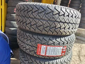 225/65r17 Chengshan Tyre (All-Terrein
