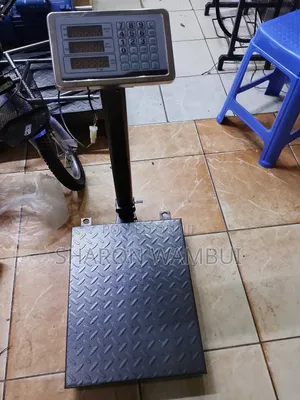 300kg Weighing Scale/Digital 300kg Weighing Scale