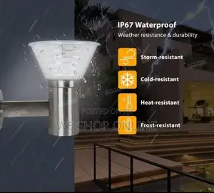 Stainless Steel Solar Led Wall Light