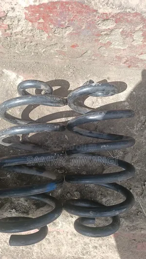 Toyota Voxy and Probox Rear Coil Spring 