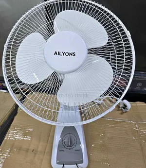 16 Inches Wall Fan