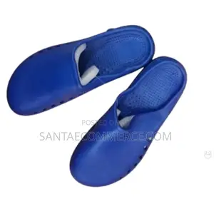 Medical Theatre Clogs