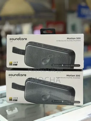 Anker Soundcore Motion 300