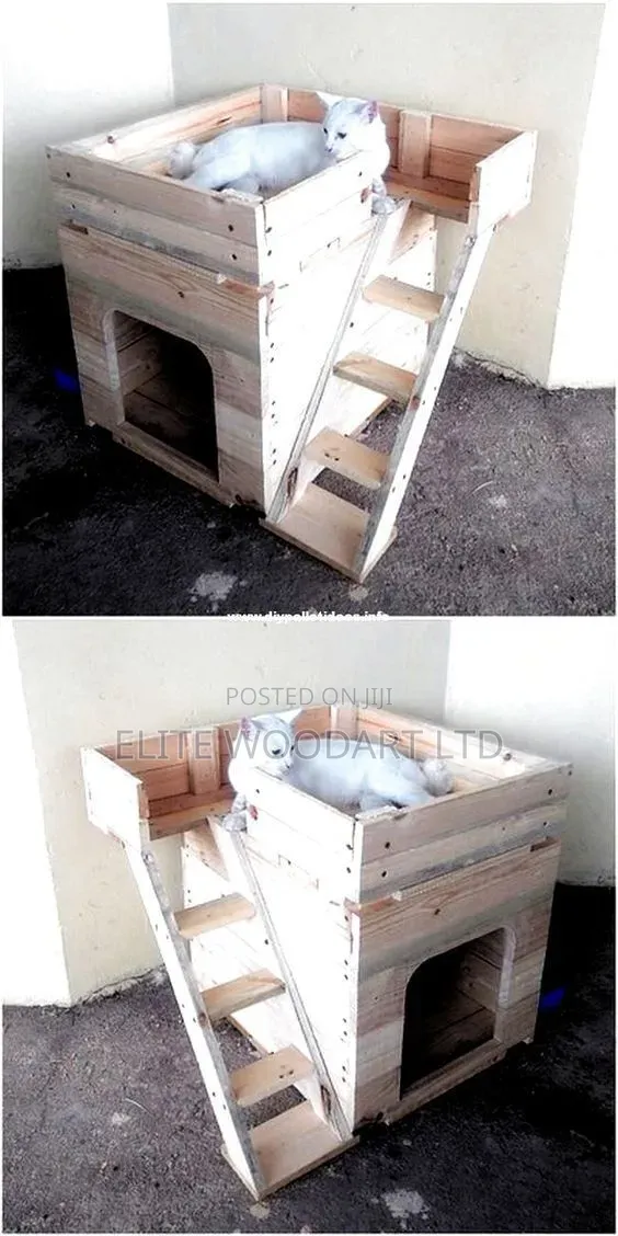 Meow Mansion