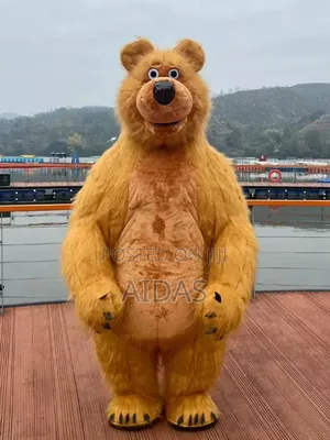 Brown Bear Mascots For Events Rental