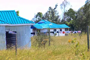 Prime Plots at Amani Mooi Gardens, Kisaju