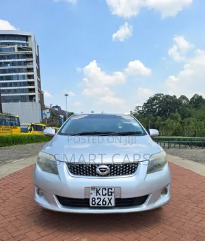 Toyota Corolla Fielder 2009 Silver