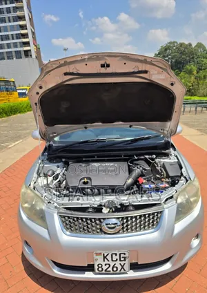 Toyota Corolla Fielder 2009 Silver