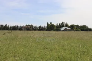 Plots for Sale