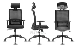 Ergonomic Chair