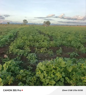 2 Acres Land for Sale