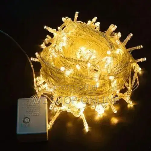Fairy Decorative Light String 10m
