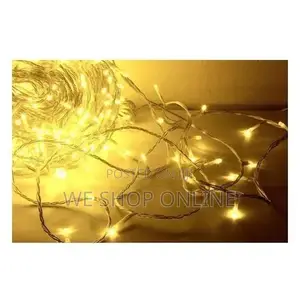 Fairy Decorative Light String 10m