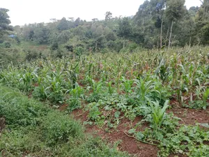 Distress Deal! Full Acre in Kahara, Ngong. Redsoil Off Ngong-Kahara Rd