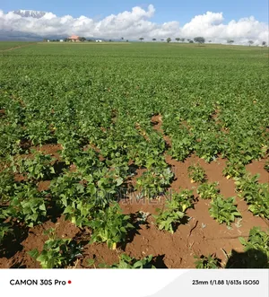 5 Acres Land for Sale