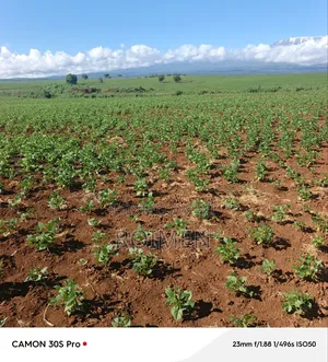 5 Acres Land for Sale