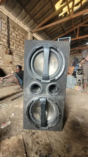 Double Speaker With Built-in Amplifier