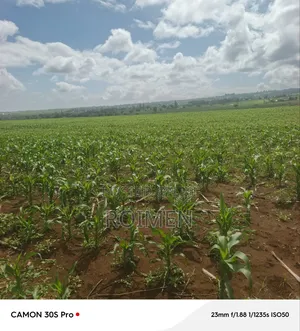 5 Acres Land for Sale