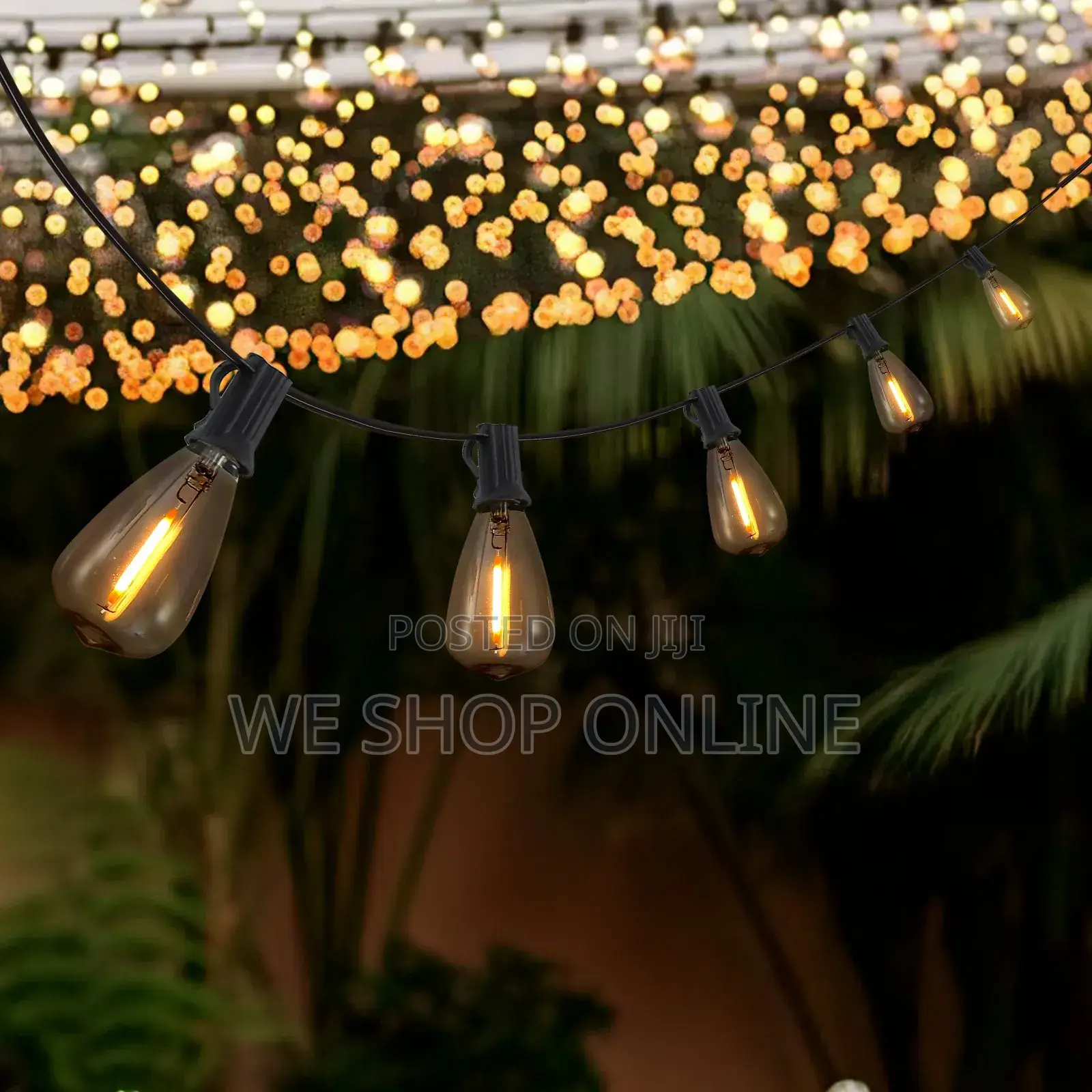 10m String Lights With 10 Bulbs