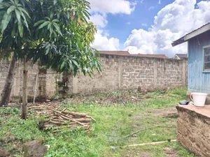 100 by 100 Plot for Sale