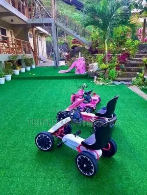 Add a Unique Natural Feel to Your Surroundings
