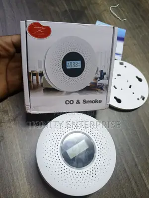 Carbon Monoxide Alarm Smoke Alarm. Compound 2 In 1 Gas Detector