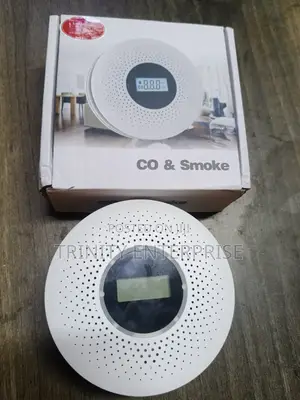 Smoke And Carbon Monoxide Detector With Voicealert