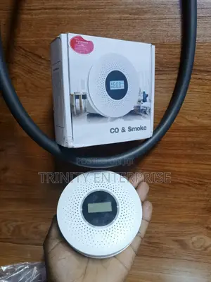 Carbon Monoxide And Smoke Detector Combination Alarm Detector