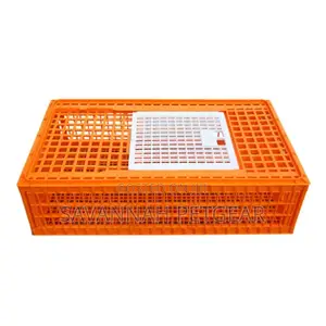 Live Birds, Rabbit , Chicken Transportation Crates/Cage