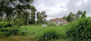 Plot for Sale in Kikuyu Kerwa (Ready Title Deed)