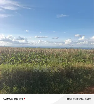 3 Acres of Land Available for Sale